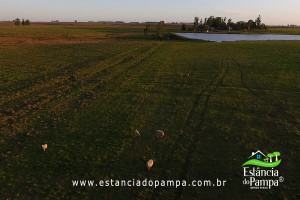 Fazenda com 1496 ha em Cachoeira do Sul localidade Irapu�.00_01_45_56.Quadro031_7ef53c3f53ebe543cd6281845b0fce8056f30c09.jpg